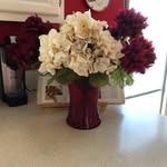 Elaine Schaefer - @elaines.6743 - Instagram