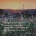 Elaine Schaffer - Facebook