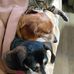 Elaine Settle - Facebook