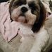 Elaine Sharp - Facebook