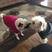Elaine Sheets - Facebook