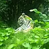 elaine.silver - @elaine.silver - TikTok