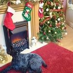 Elaine Simpson - @elainesimpson29 - Instagram