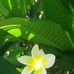 Elaine Simpson - Facebook