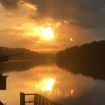 Elaine Sisson - @sisson.elaine - Instagram