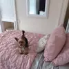 elainesisson1 - @elainesisson1 - TikTok