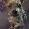 Elaine Small - @elaine.small0 - TikTok