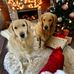 Elaine Small - Facebook