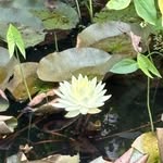 Elaine Wade Spring - @cemgal53 - Instagram