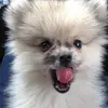 Angel - @elainesun85 - TikTok