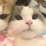 Elaine Sun - @unkown_yi - Instagram