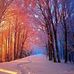 Elaine Toth - Facebook