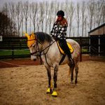 Elaine Van Hecke - @elavahe - Instagram