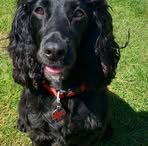 Elaine Wade - Facebook