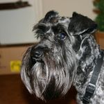 Elaine Wade - @elainewade773 - Instagram