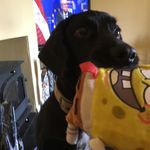 Elaine Wade - @elaine.wade1764 - Instagram