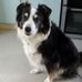 Elaine Waldron - Facebook