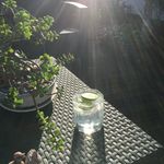 Elaine waldron - @ewaldron67 - Instagram