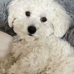 Elaine Ware - @glasseware53 - Instagram