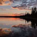 ElaineWayne - @wealmcn - Instagram