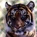 Elaine Weldon - Facebook
