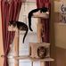 Elaine Kindler Wheat - Facebook