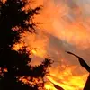 Elaine Wright - @elaine.wright316 - TikTok