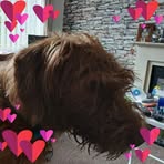 Elaine Wright - Facebook