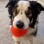 Elaine Wright - @elainegwright - Instagram