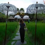 elaine - @elaineyang_ - Instagram