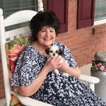 Elaine Liotta Yates - @cowsrus43 - Instagram