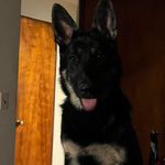 Elaine Yates - @elaine.yates.9678 - Instagram