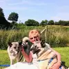 elaineyates42 - @elaineyates42 - TikTok