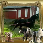 Elam Yoder - Facebook