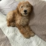 Elayne Schacter Shinwell - @elayneshinwellschacter - Instagram