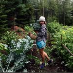 Elana Beal - @thedowneastmama - Instagram
