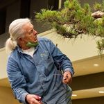 Dan Robinson, Elandan Gardens LTD — - @elandangardensbonsai - Instagram