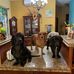 Elane Drye - Facebook