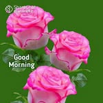 Elango Ganesan - @elangoganesan8 - Instagram