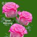 Elango Ganesan - Facebook