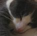 Elanor Mitchell - Facebook