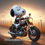 Elayne Shaw - Facebook