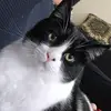 elainasimpson0 - @elainasimpson0 - TikTok