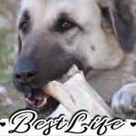 Tebbi Elayne Bowman - @tebbibowman - Instagram