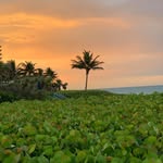 Elayne Brown Peretz - @elayne76 - Instagram