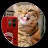 Elayne Cabrera692 - @elayne_cabrera - TikTok