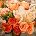 Elayne Howard - Facebook