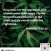 Elaine Pearson - Facebook
