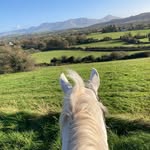 Elayne Taylor - @elaynectaylor - Instagram