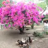 @Elba castro - @elba.castro671 - TikTok